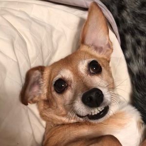 Meet your Posher, Olivia